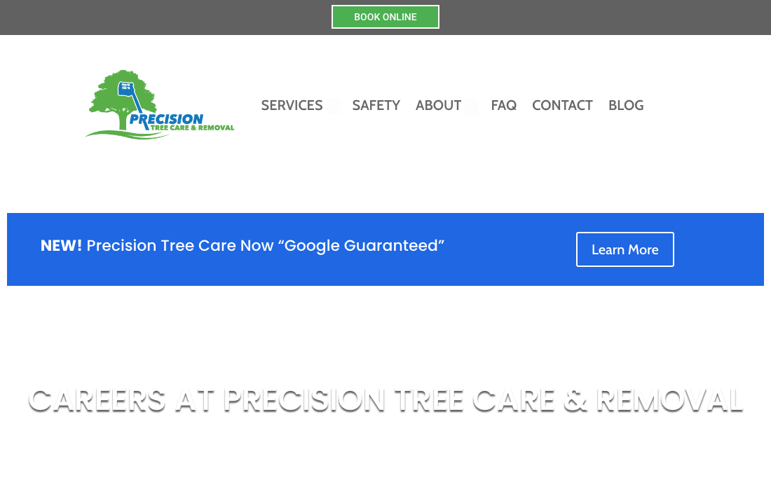 Precision Tree  Care Removal